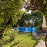 Muita natureza no centro… Abundant nature in the heart of the city…