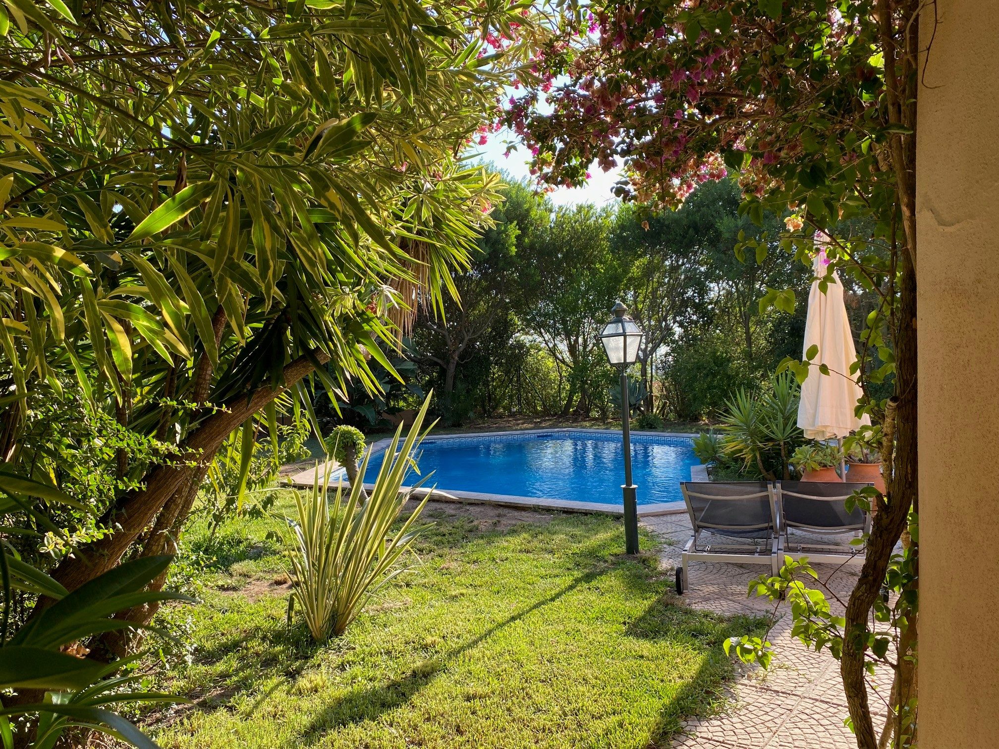 Abundant nature in the heart of the city…