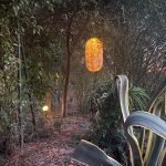 Muita natureza no centro… Abundant nature in the heart of the city…