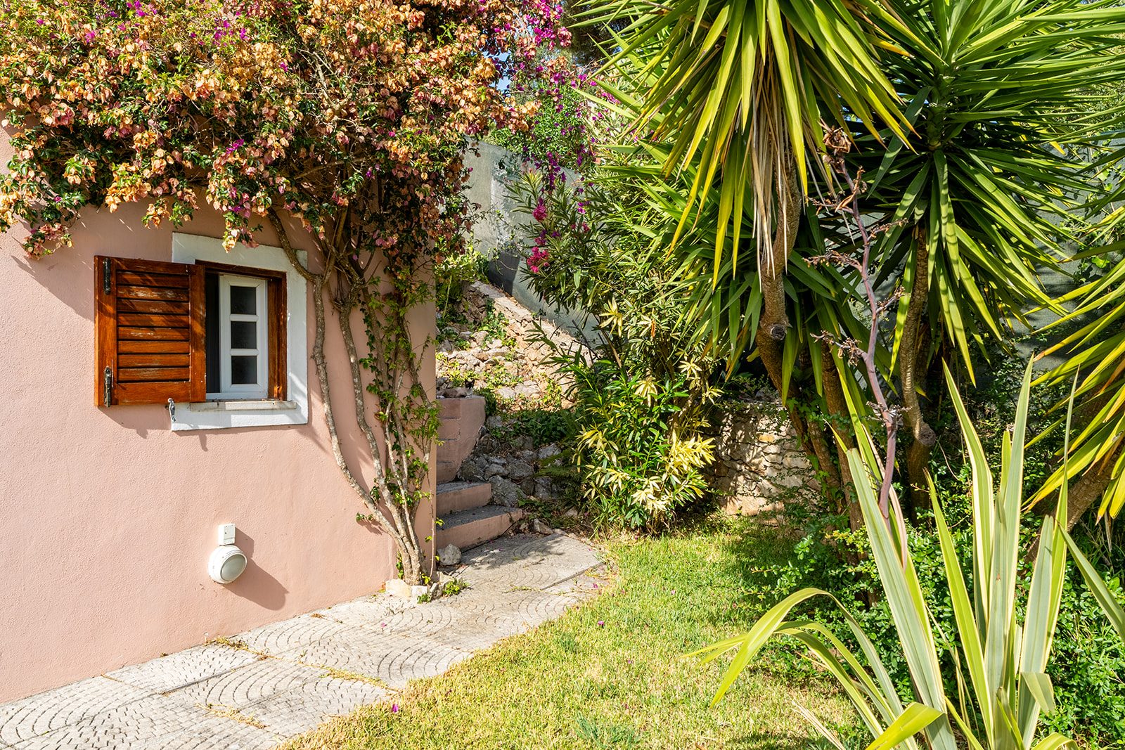 Abundant nature in the heart of the city…