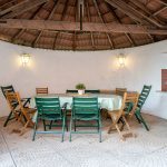 Muita natureza no centro… Abundant nature in the heart of the city…