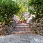 Muita natureza no centro… Abundant nature in the heart of the city…