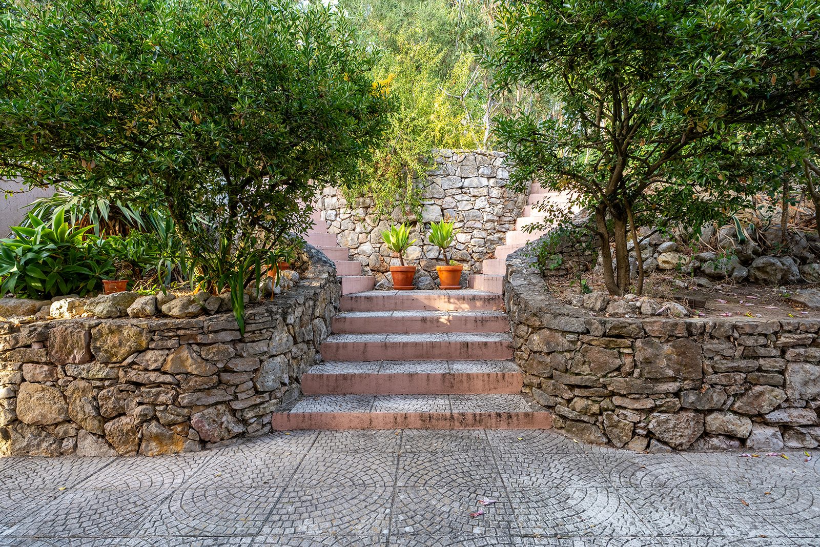 Abundant nature in the heart of the city…
