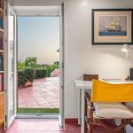 Muita natureza no centro… Abundant nature in the heart of the city…
