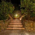Muita natureza no centro… Abundant nature in the heart of the city…