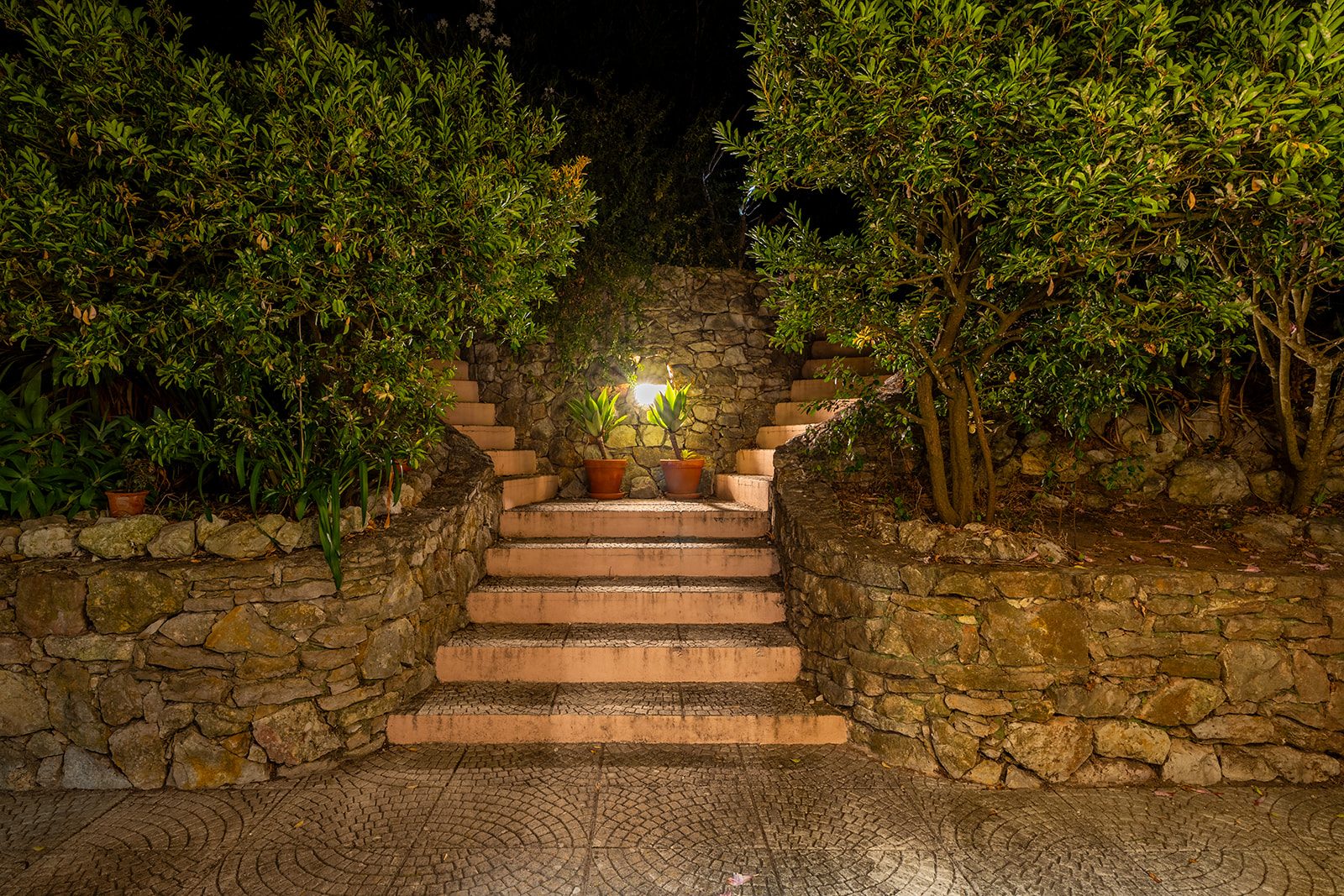 Abundant nature in the heart of the city…