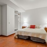 Muita natureza no centro… Abundant nature in the heart of the city…