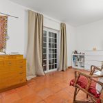 Muita natureza no centro… Abundant nature in the heart of the city…