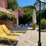 Muita natureza no centro… Abundant nature in the heart of the city…