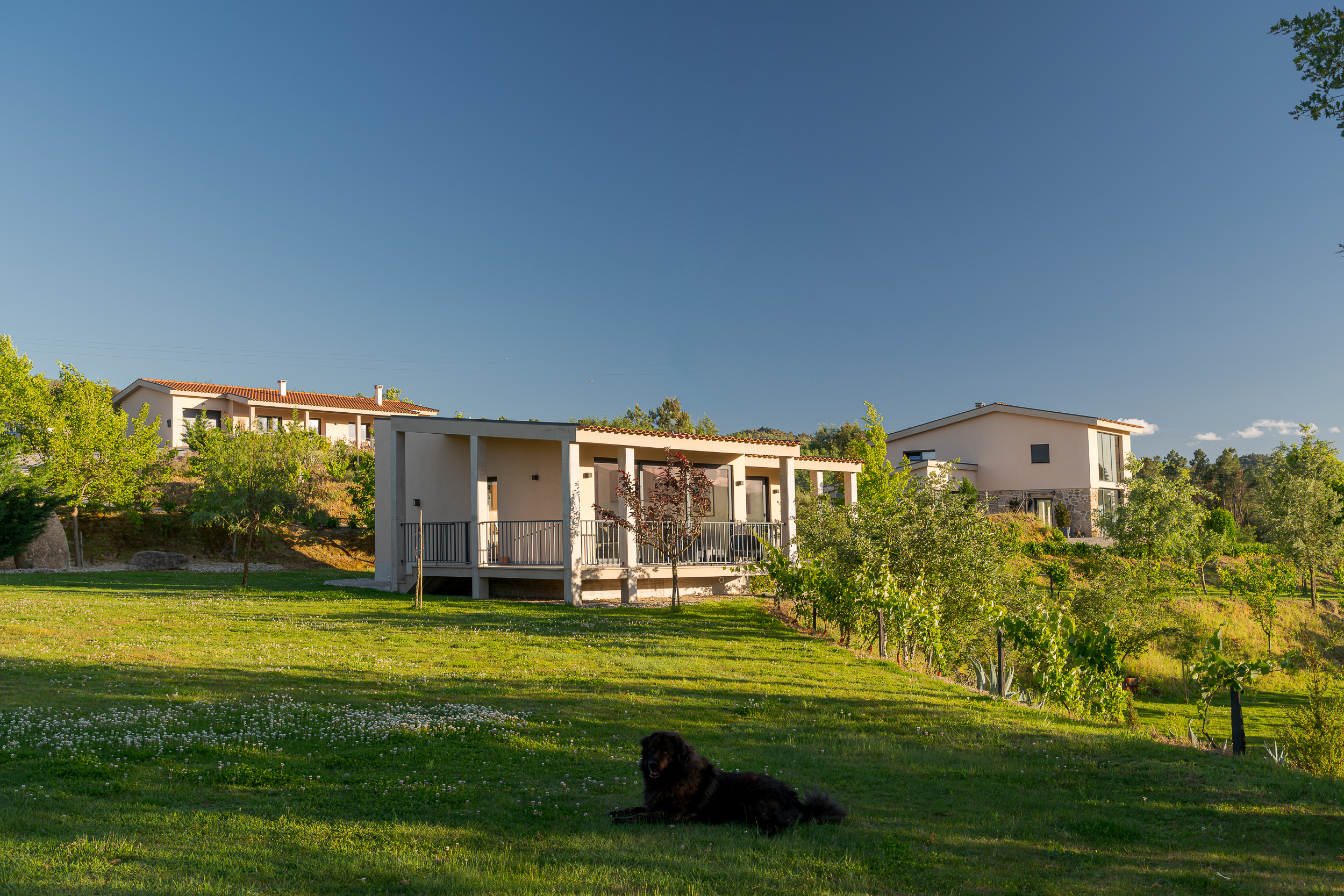 Agroturismo na Serra da Estrela