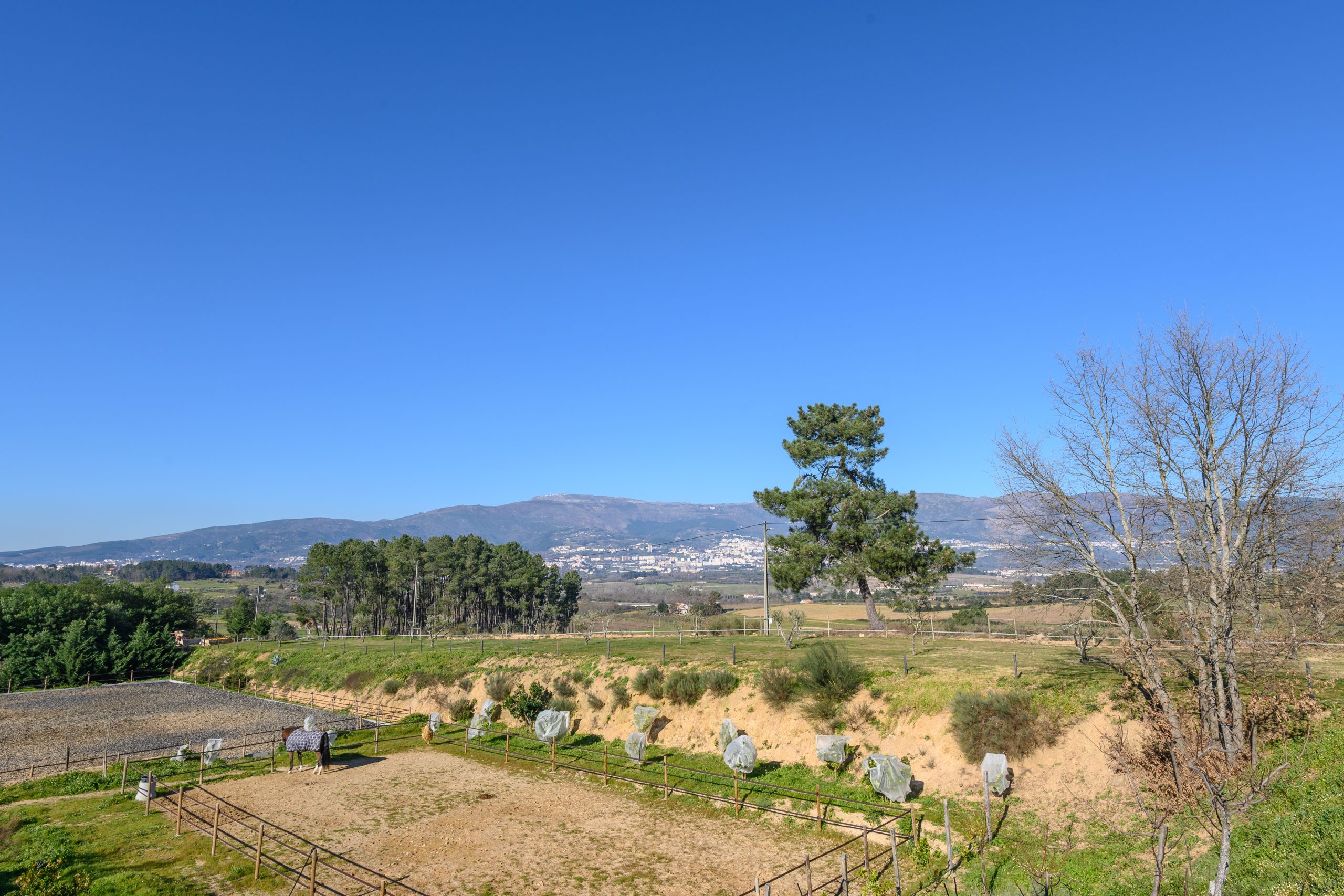Agroturismo na Serra da Estrela